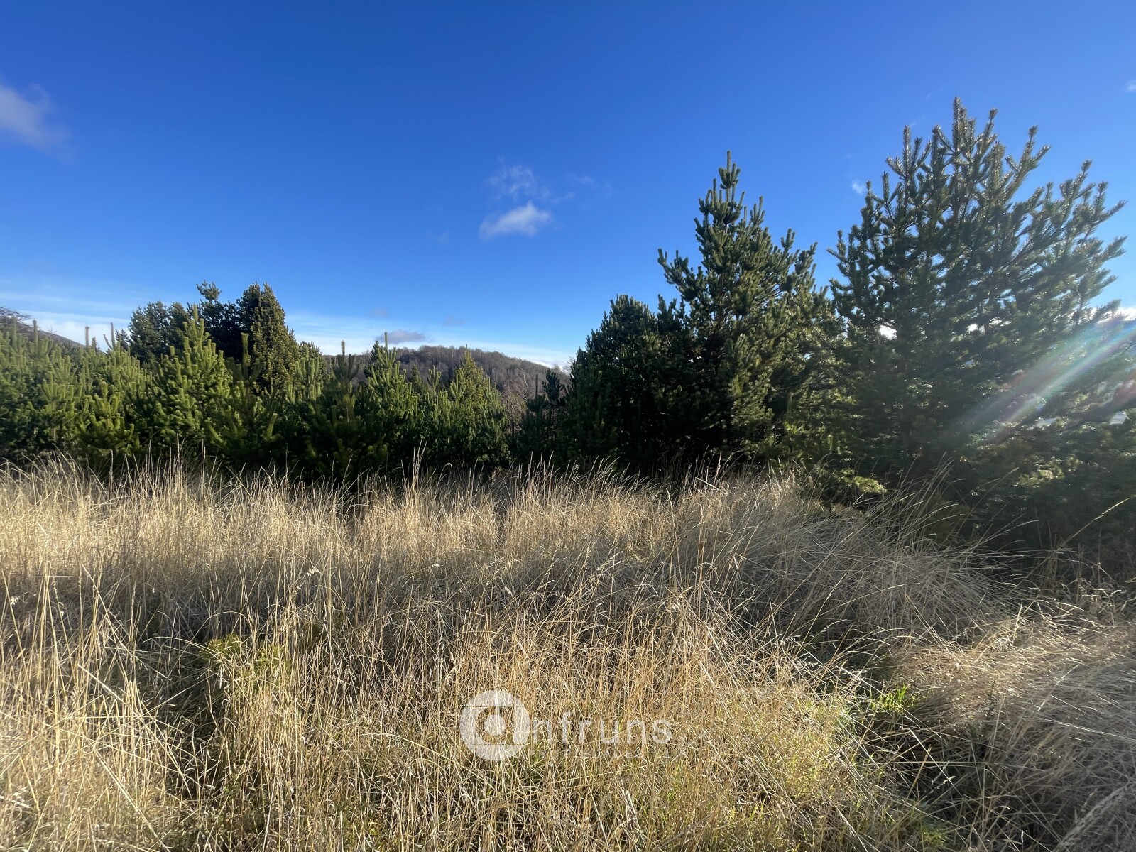 Parcela en Venta en Coyhaique | 15 Dormitorios | 15 Baños | 5000 m² | UF 2.300 - 4