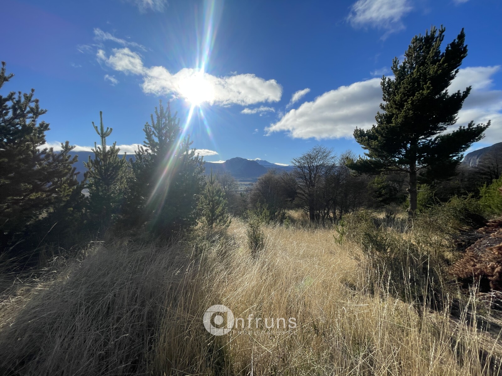 Parcela en Venta en Coyhaique | 15 Dormitorios | 15 Baños | 5000 m² | UF 2.300 - 5