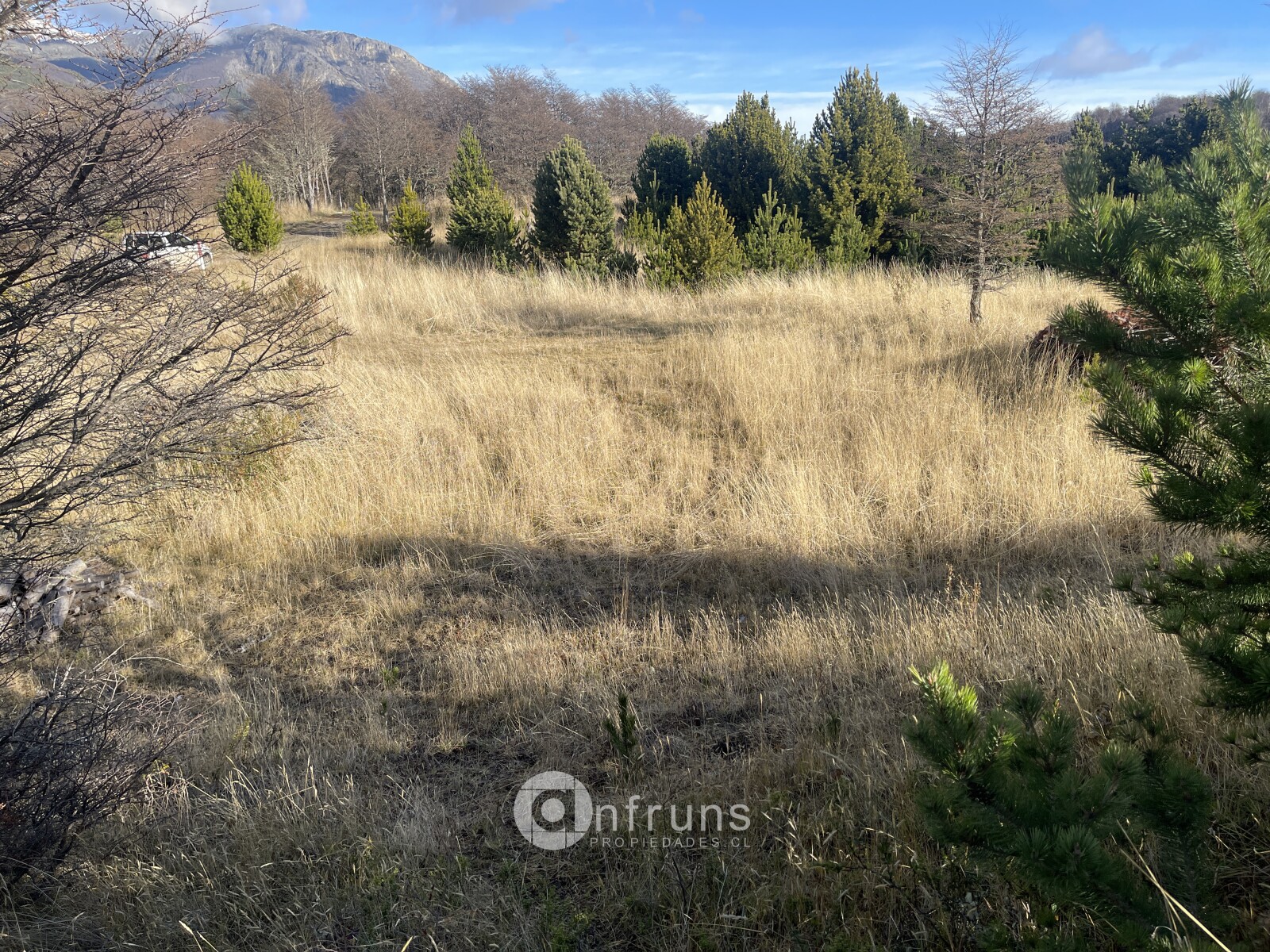 Parcela en Venta en Coyhaique | 15 Dormitorios | 15 Baños | 5000 m² | UF 2.300 - 8