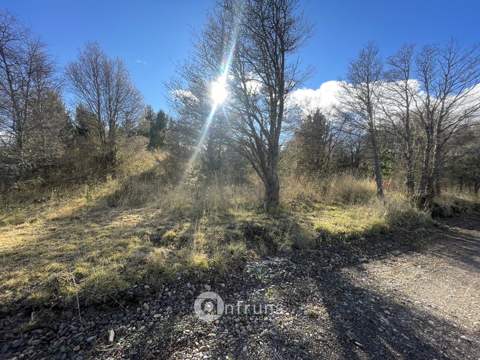 Parcela en Venta en Coyhaique | 15 Dormitorios | 15 Baños | 5000 m² | UF 2.300 - 9