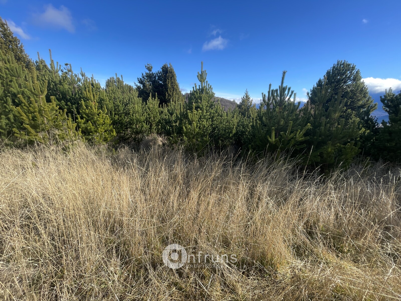 Parcela en Venta en Coyhaique | 15 Dormitorios | 15 Baños | 5000 m² | UF 2.300 - 6