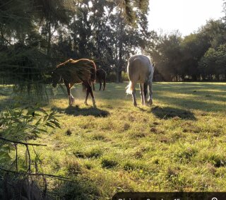 Terrenos - San Lorenzo - Venta