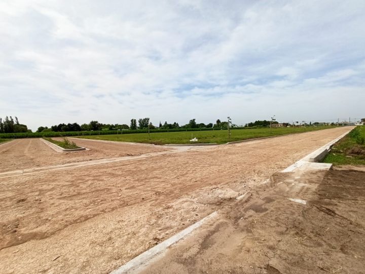 Terrenos - Pi馿ro - Venta