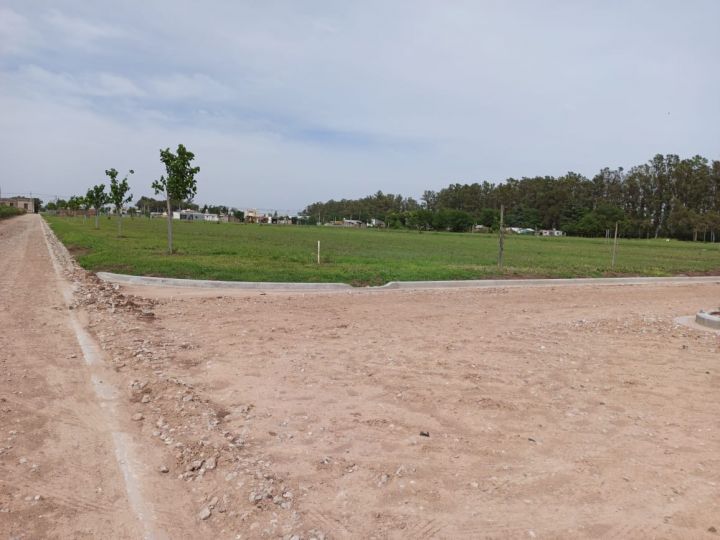 Terrenos - Pi馿ro - Venta