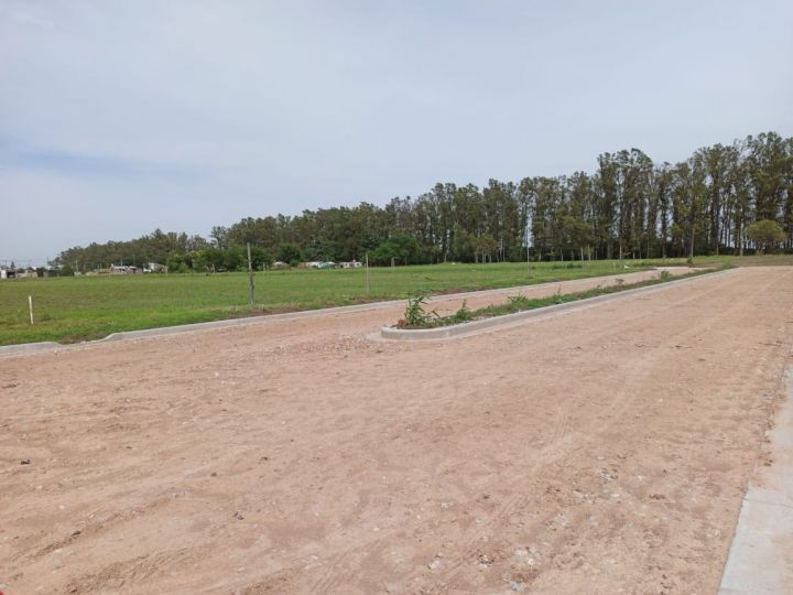 Terrenos - Pi馿ro - Venta