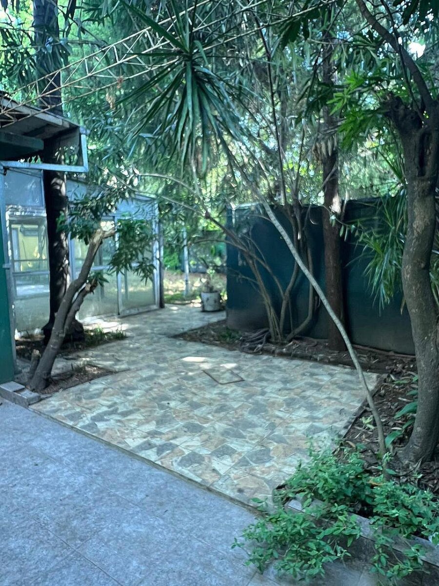 LOCAL en ALQUILER 254m²- GRANADEROS A CABALLO 4929-JOSÉ C PAZ - 9