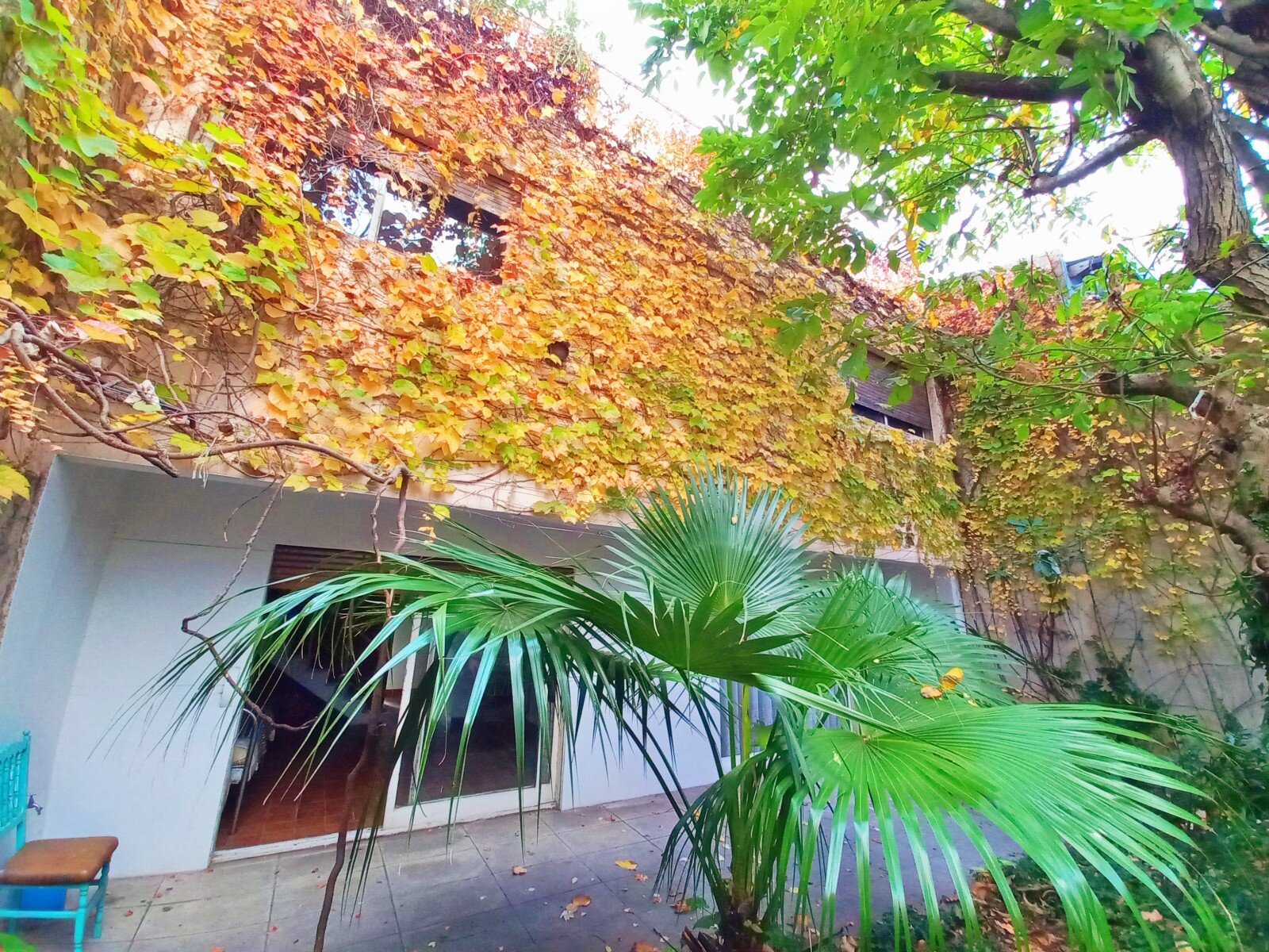 Casa con Jardín, Garaje, Terraza y Parrilla en Villa del Parque - 18