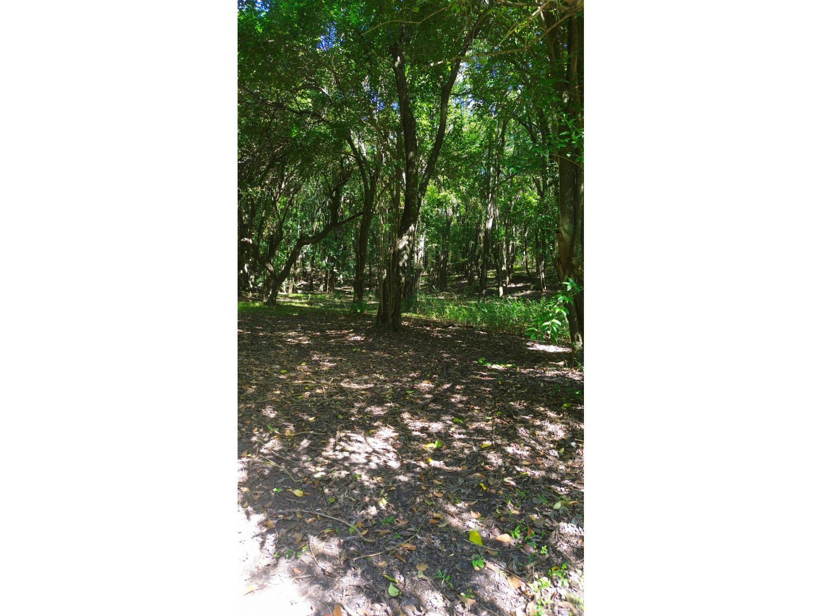 Lote en venta Camino al Cuadrado, Rio Ceballos Salsipuedes - Imagen 5