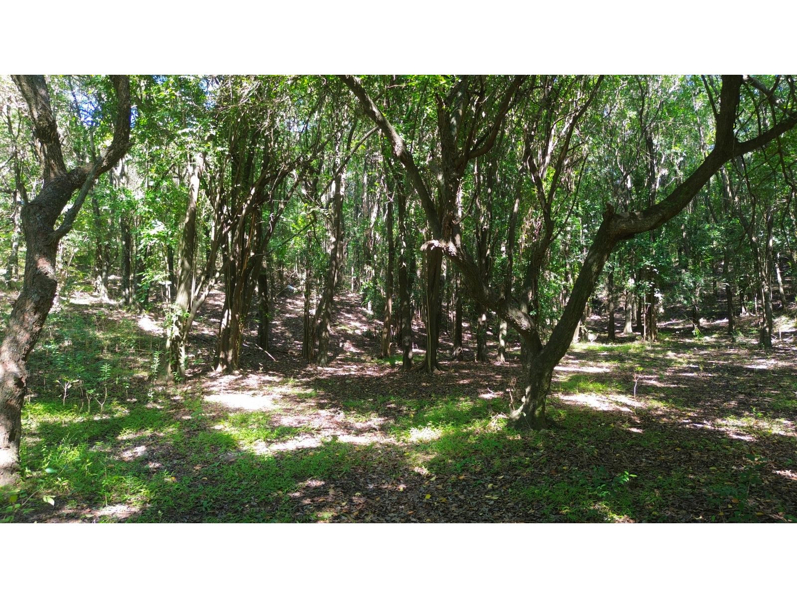 Lote en venta Camino al Cuadrado, Rio Ceballos Salsipuedes - Imagen 6