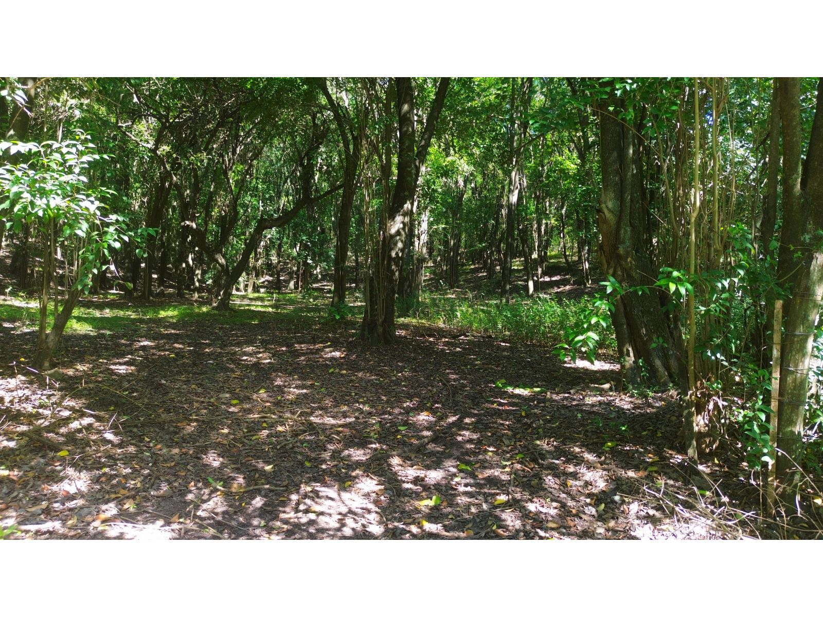 Lote en venta Camino al Cuadrado, Rio Ceballos Salsipuedes - Imagen 4