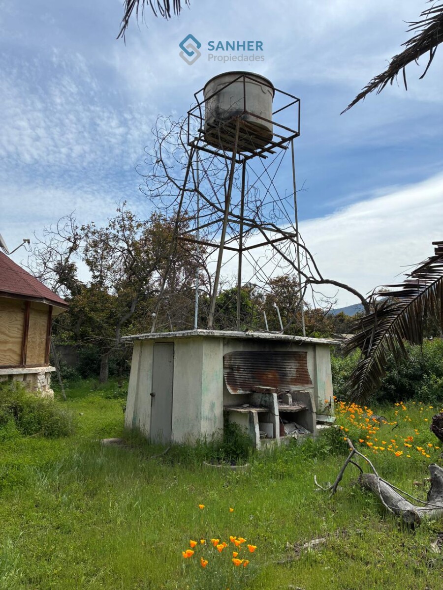 Foto 19