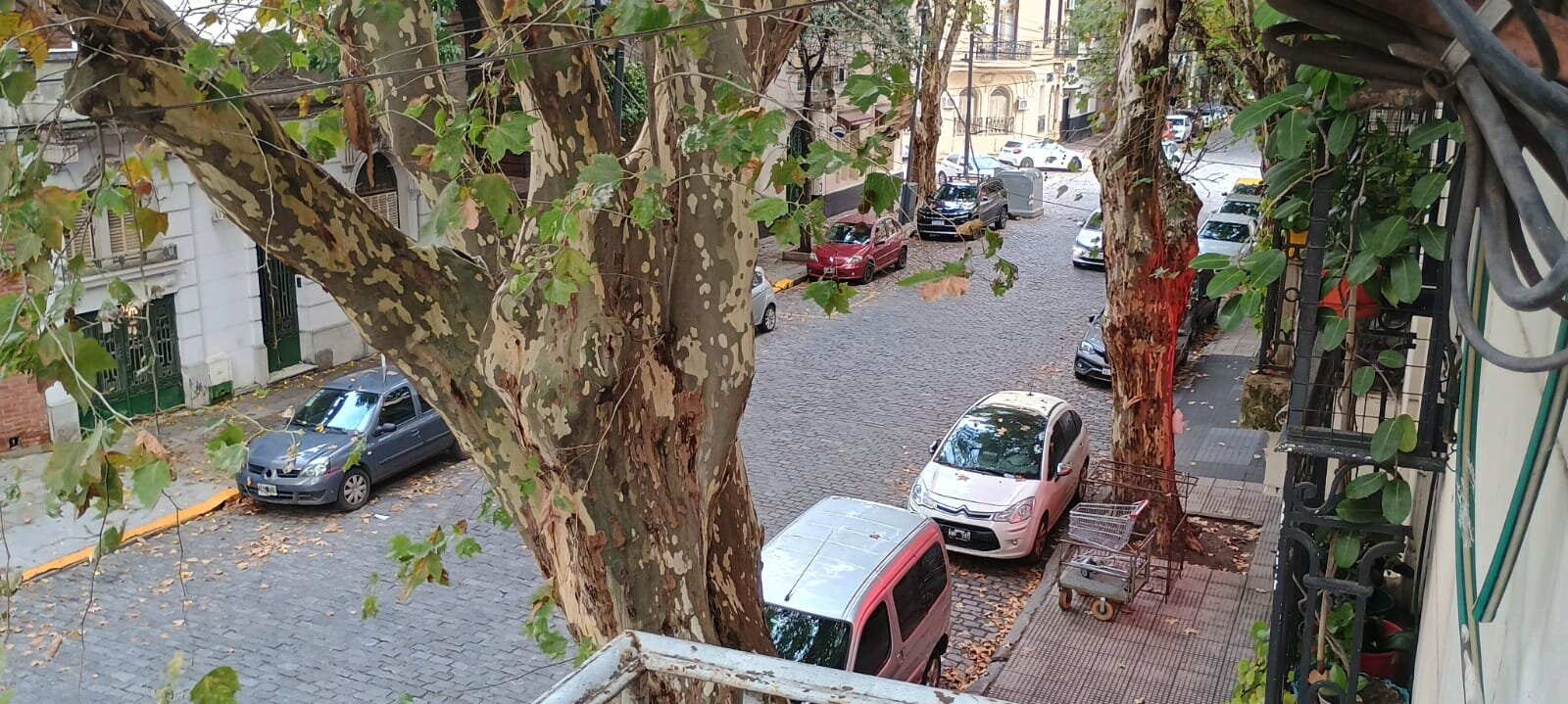 PH DE 4 AMB CON DEPENDENCIA EN PLENO CABALLITO - 17
