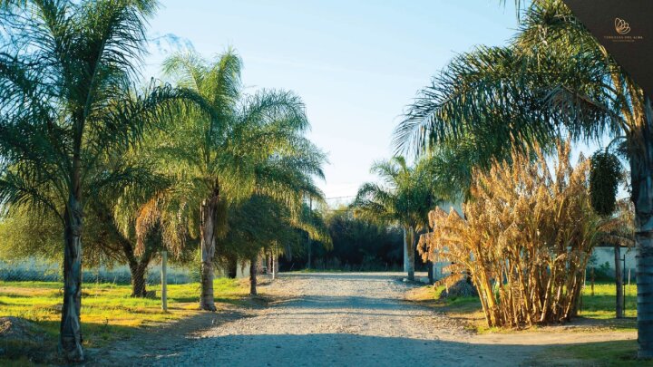 Venta Lotes desde 400m2 en Barrio Residencial Terrazas del Alba