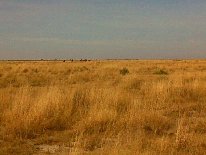 LA RINCONADA 8690 HA - Imagen 4