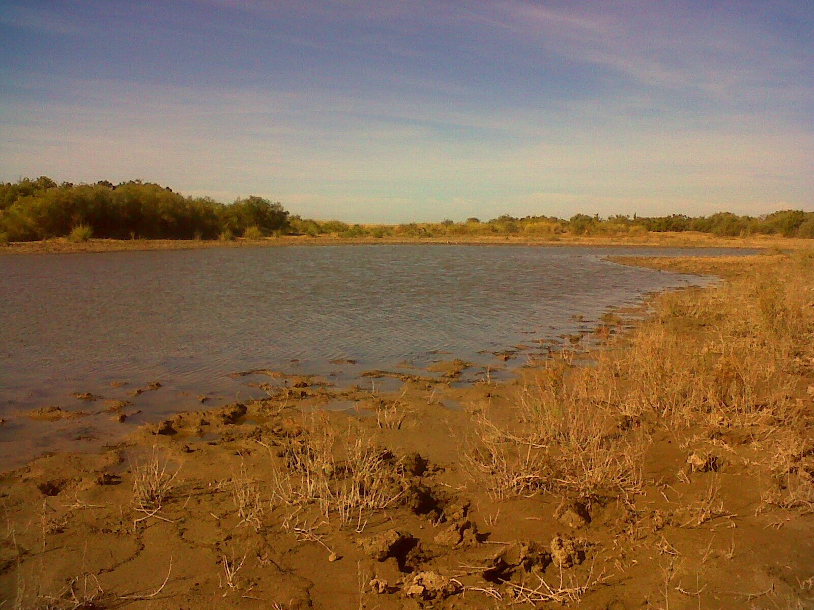 LA RINCONADA 8690 HA