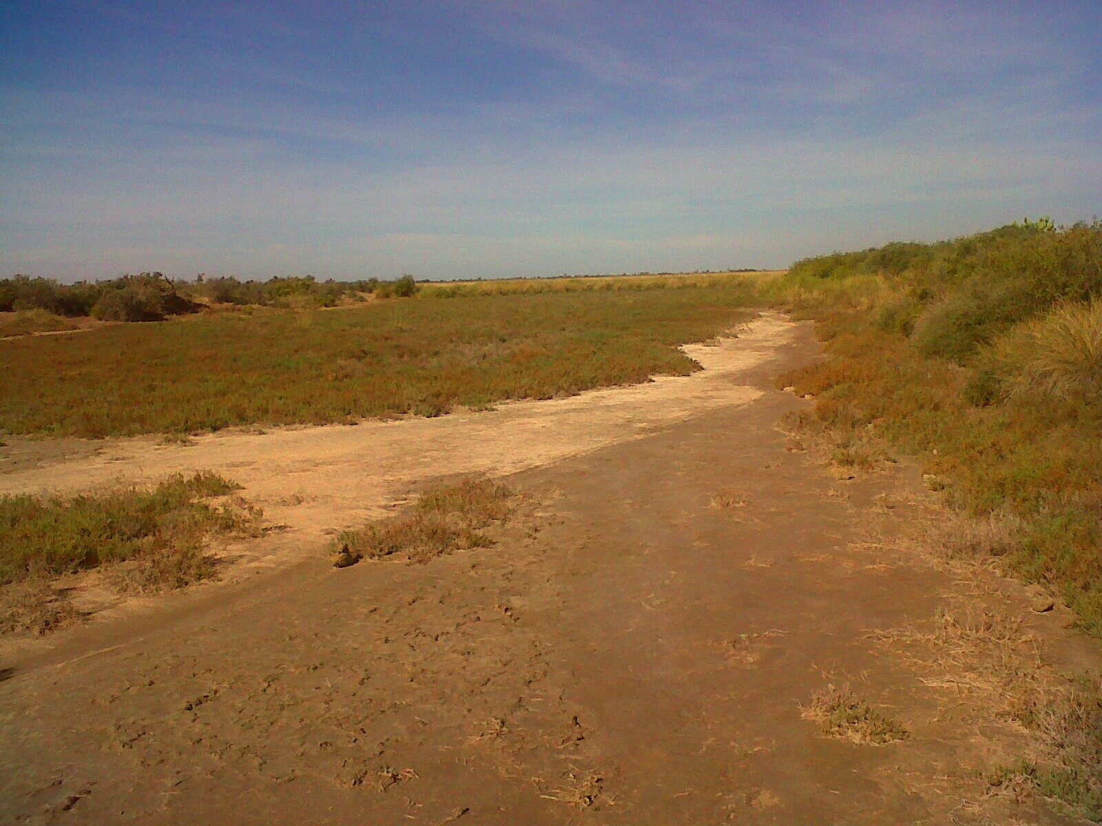 LA RINCONADA 8690 HA - Imagen 2