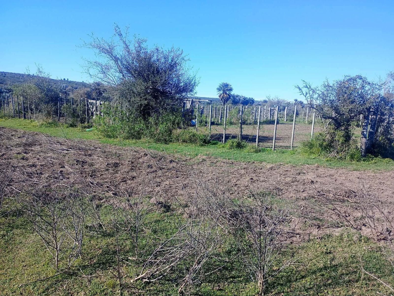 CAMINIAGA 300 HA - Imagen 6