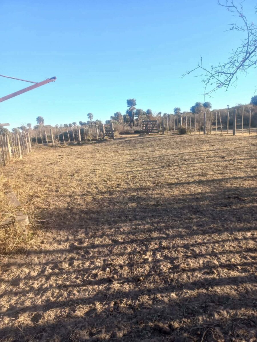 CAMINIAGA 300 HA - Imagen 2