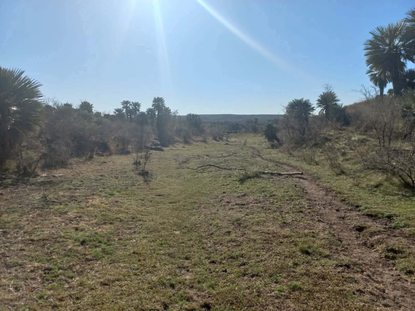 CAMINIAGA 300 HA - Imagen 10
