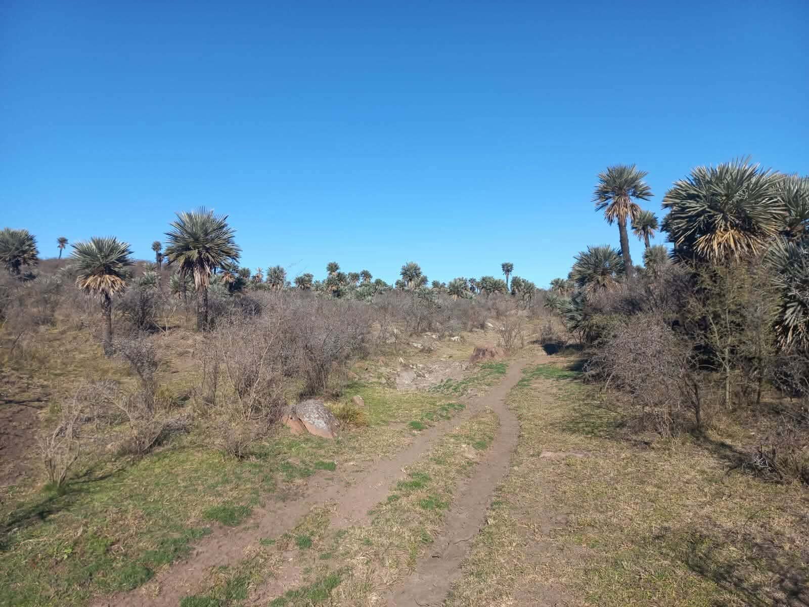 CAMINIAGA 300 HA - Imagen 5