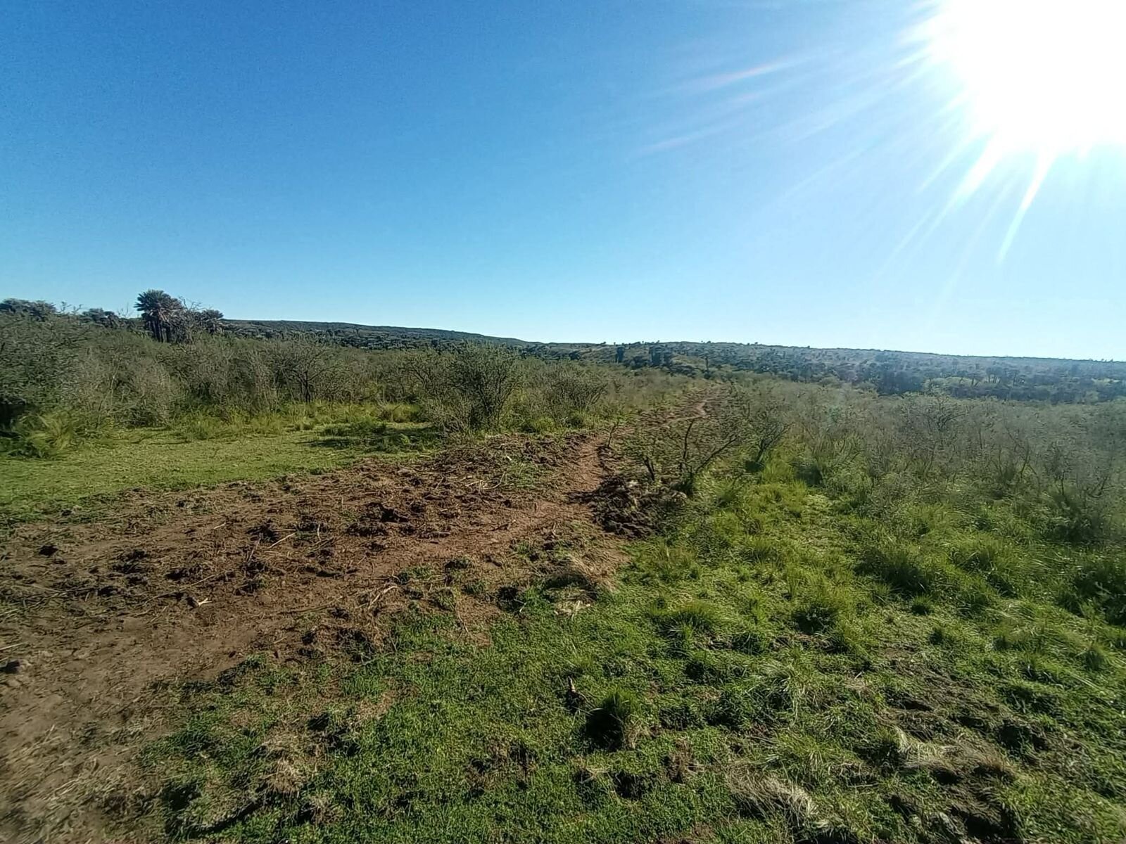 CAMINIAGA 300 HA - Imagen 7