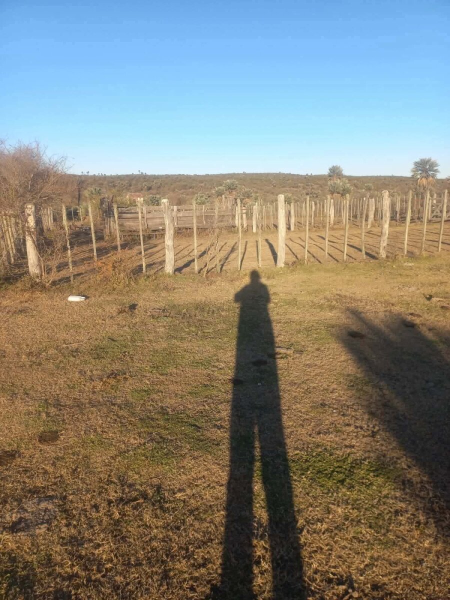 CAMINIAGA 300 HA - Imagen 14