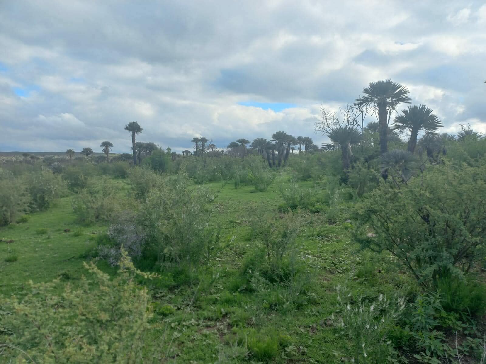 CAMINIAGA 300 HA - Imagen 13