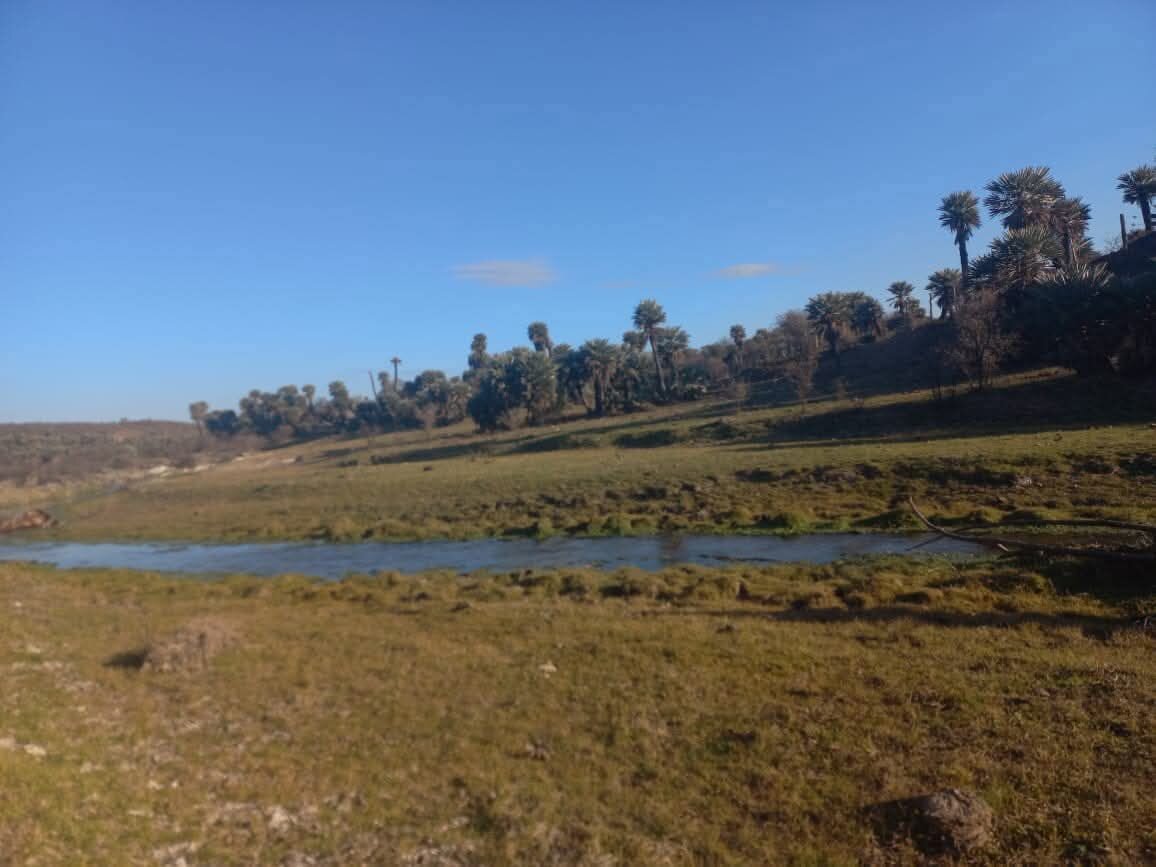 CAMINIAGA 300 HA - Imagen 9