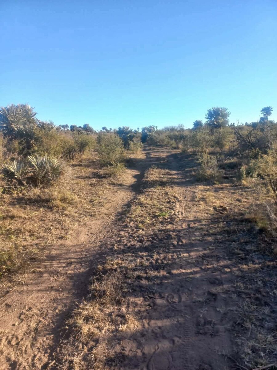 CAMINIAGA 300 HA - Imagen 12