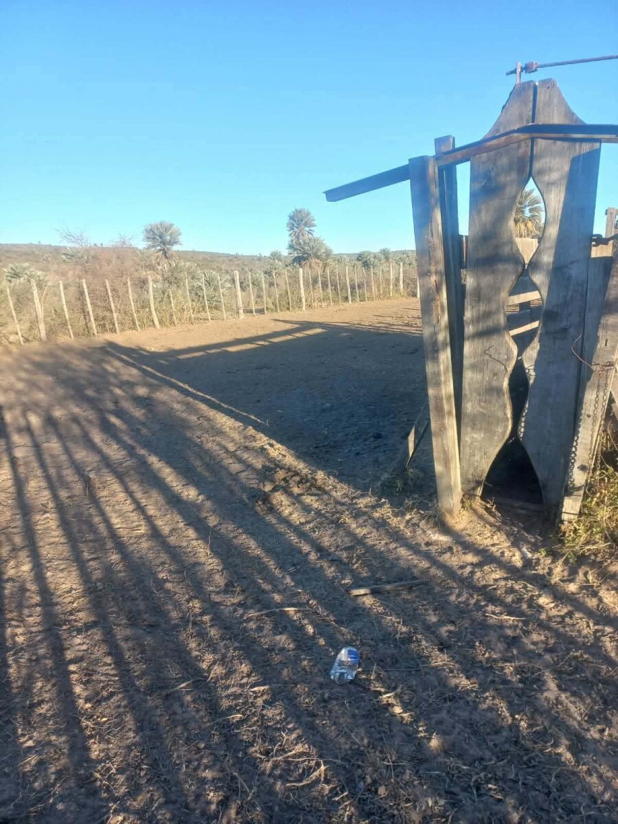 CAMINIAGA 300 HA - Imagen 8