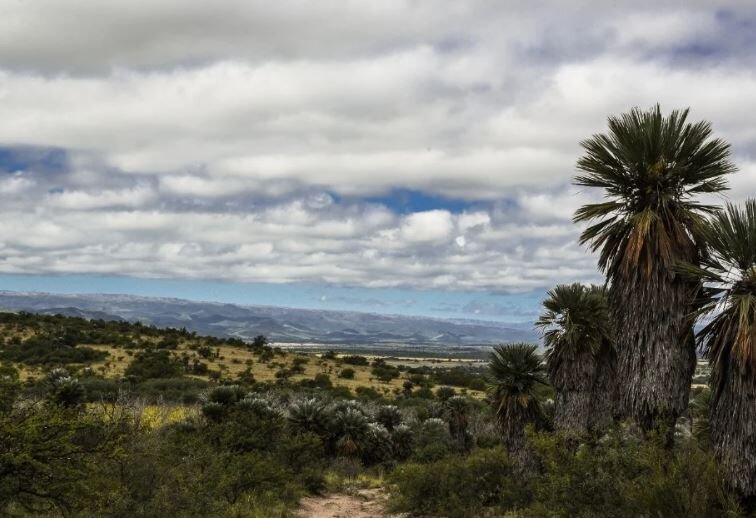 VENTA CASA CAMPO LA MUDANA TRASLASIERRA POCHO - 26