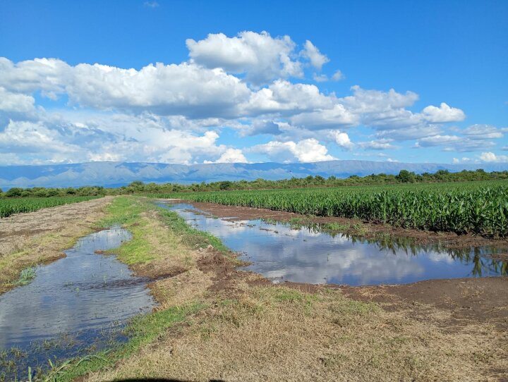 Lote/Campo en Los Romeros
