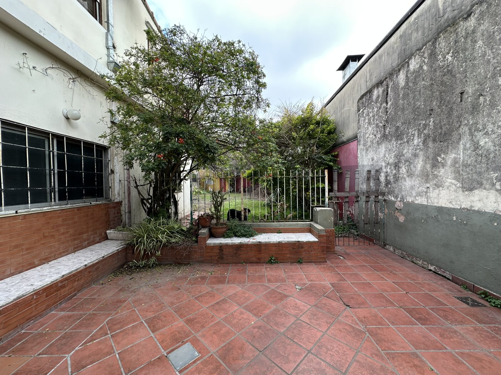 CASA Y DEPARTAMENTO - 43