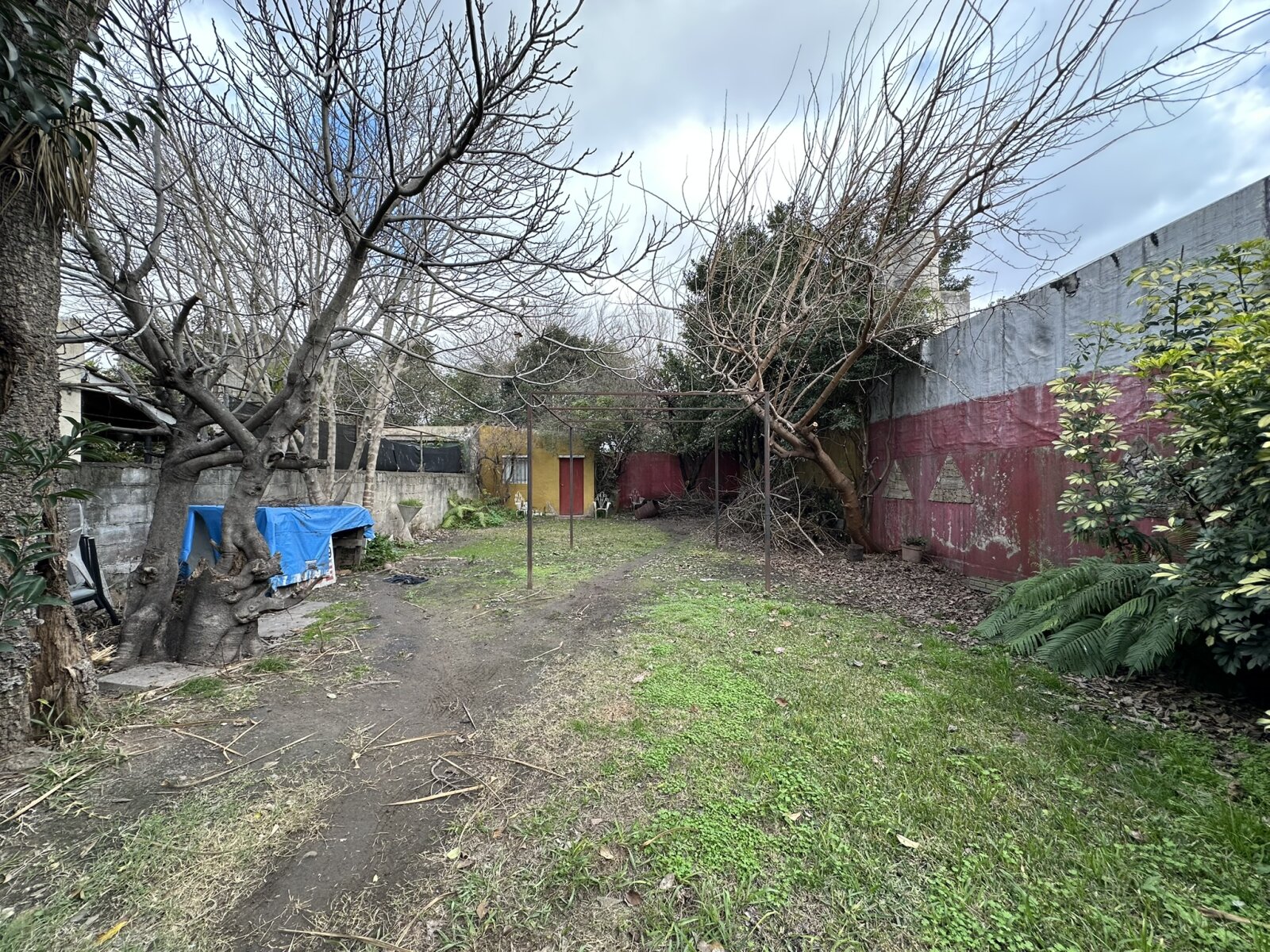 CASA Y DEPARTAMENTO - 45