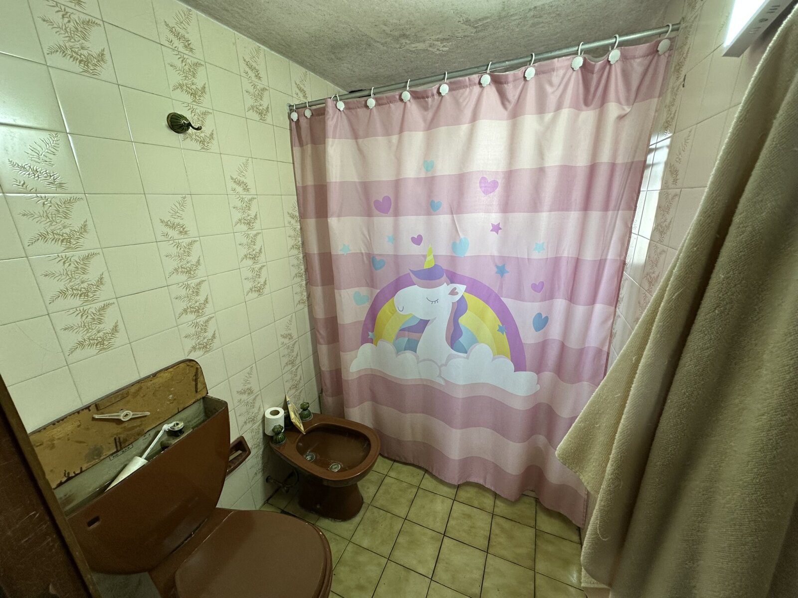 CASA Y DEPARTAMENTO - 33