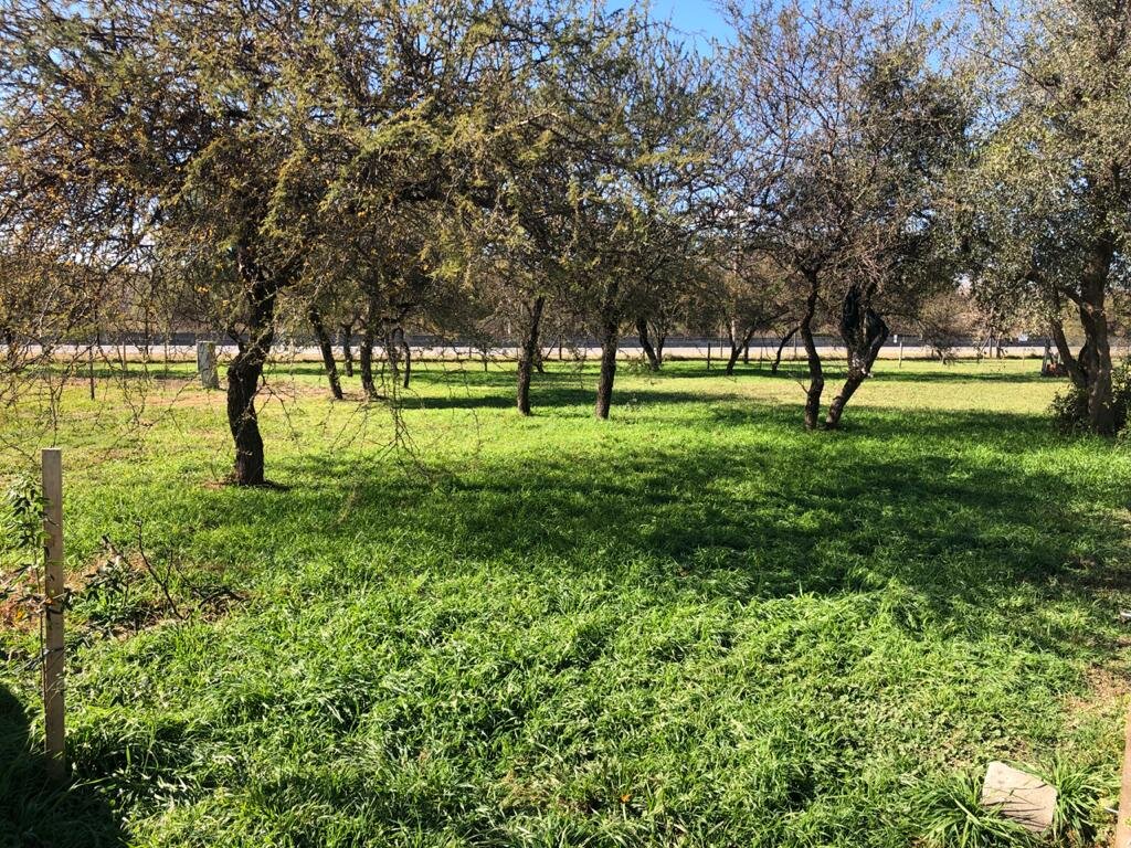 VENDO LOTE EN VILLA CATALINA ETAPA 1 - Imagen 10