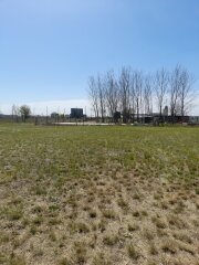 Terrenos - Ibarlucea - Venta