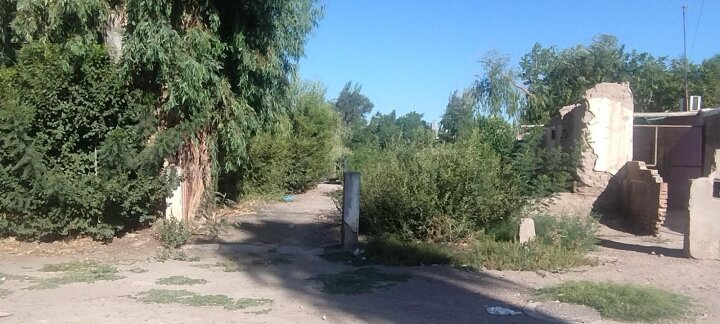 Pedro Vargas 1707 · foto 4