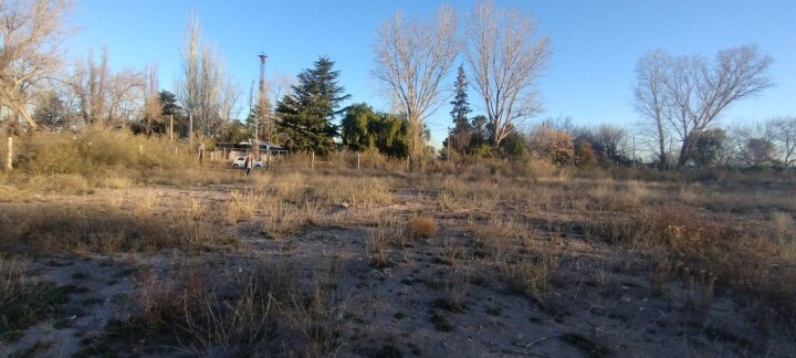 Calle Gladys Oldra S/N · foto 5