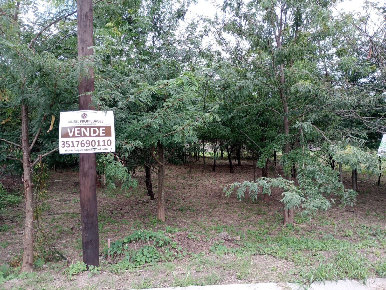 VENDO LOTE B° PROSSUR (UEPC) - Imagen 18