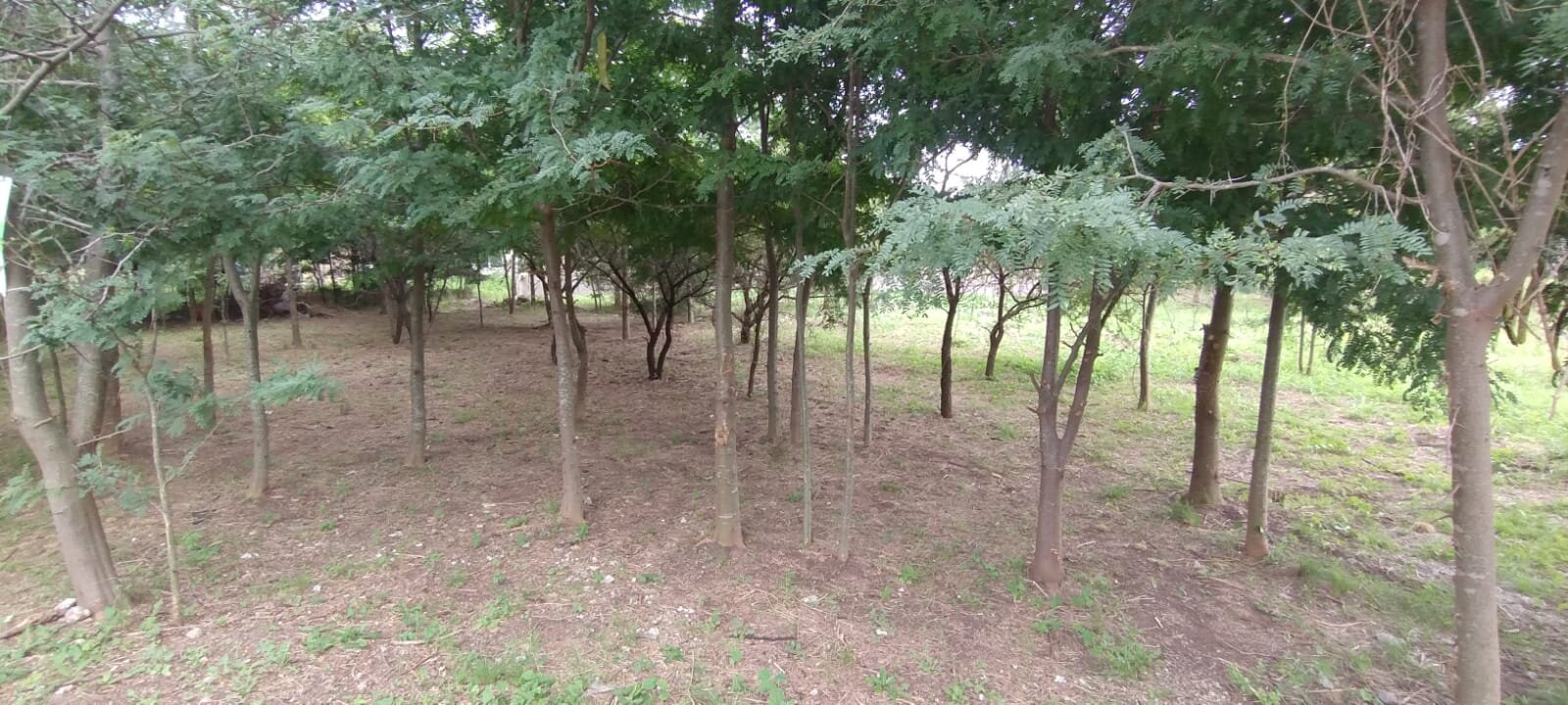 VENDO LOTE B° PROSSUR (UEPC) - Imagen 20