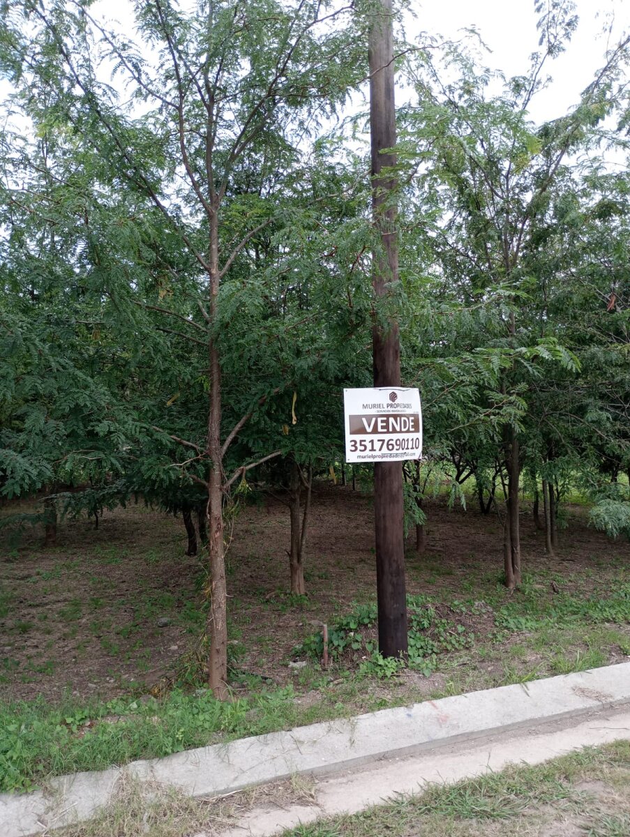 VENDO LOTE B° PROSSUR (UEPC) - Imagen 16