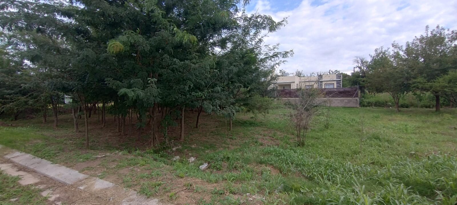 VENDO LOTE B° PROSSUR (UEPC) - Imagen 8