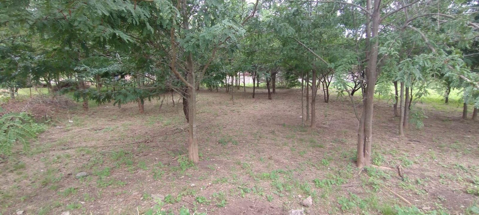 VENDO LOTE B° PROSSUR (UEPC) - Imagen 5