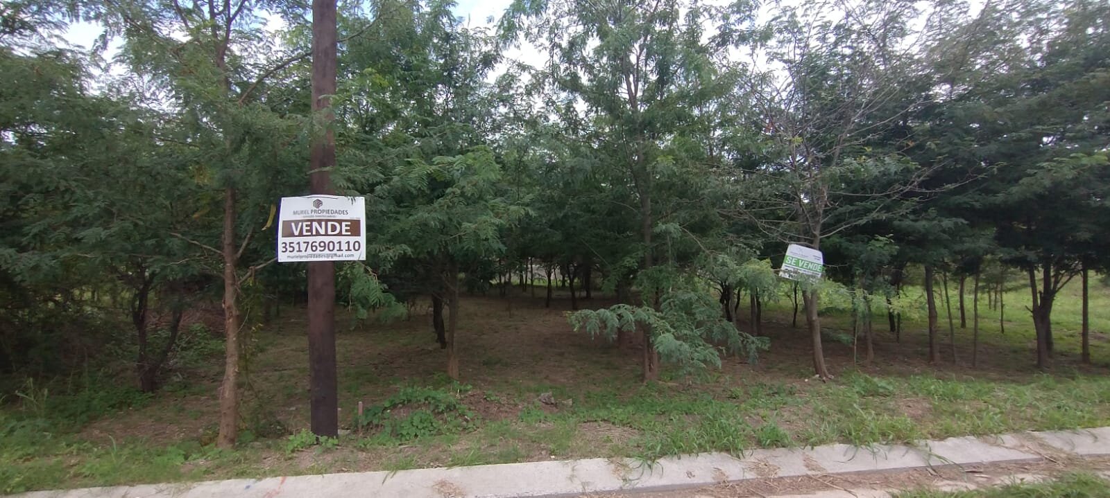 VENDO LOTE B° PROSSUR (UEPC) - Imagen 14