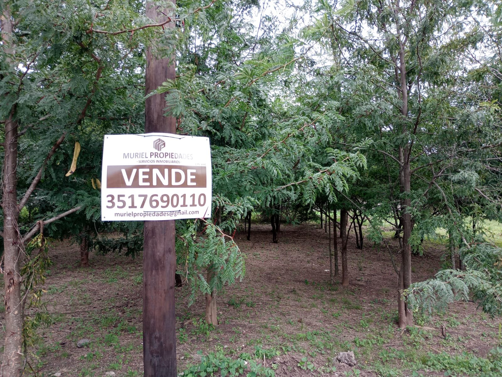 VENDO LOTE B° PROSSUR (UEPC) - Imagen 15