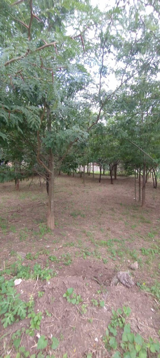 VENDO LOTE B° PROSSUR (UEPC) - Imagen 6