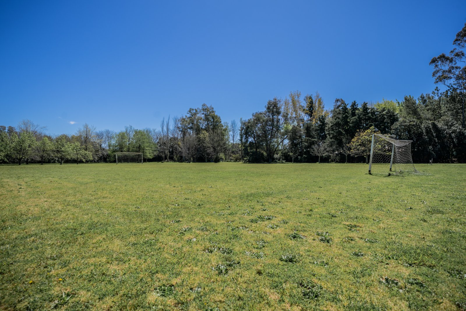 EN VENTA. MERCEDES. CHACRA 3 HA. CASA 5 AMBIENTES. QUINCHO. PILETA. CANCHA DE FUTBOL. - 41