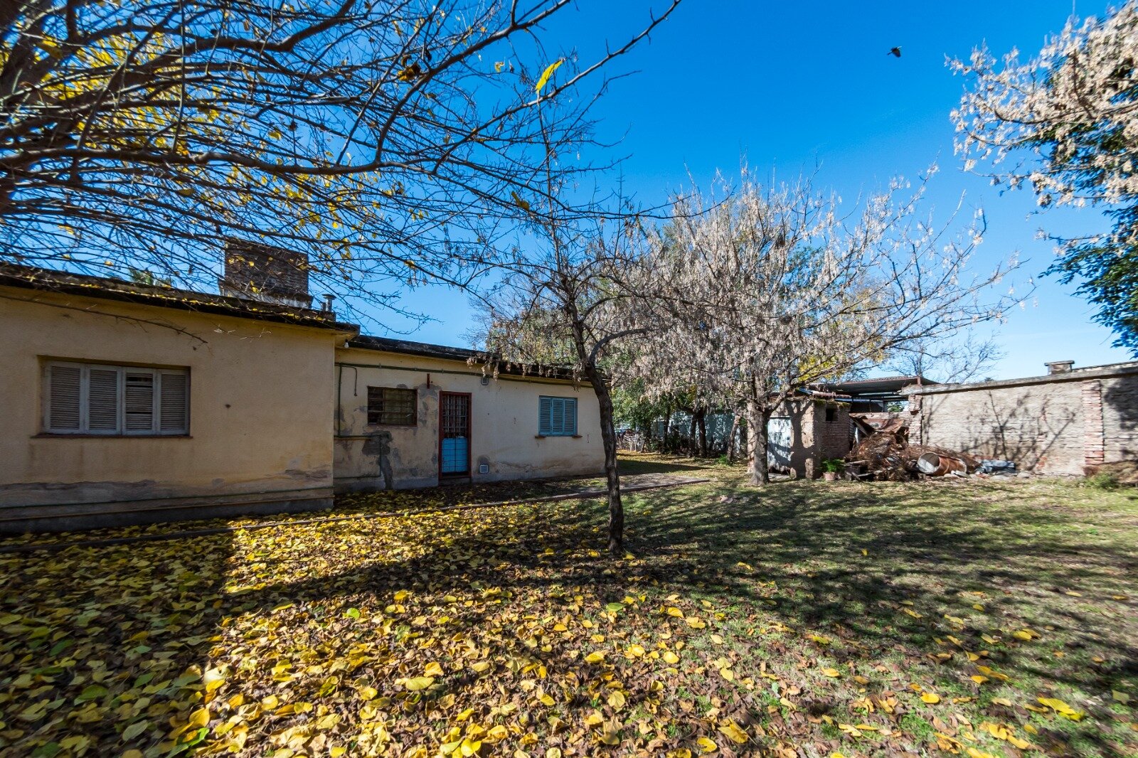 CASA A RECICLAR CON GRAN TERRENO EN ARGÜELLO – IDEAL INVERSIÓN - Imagen 9