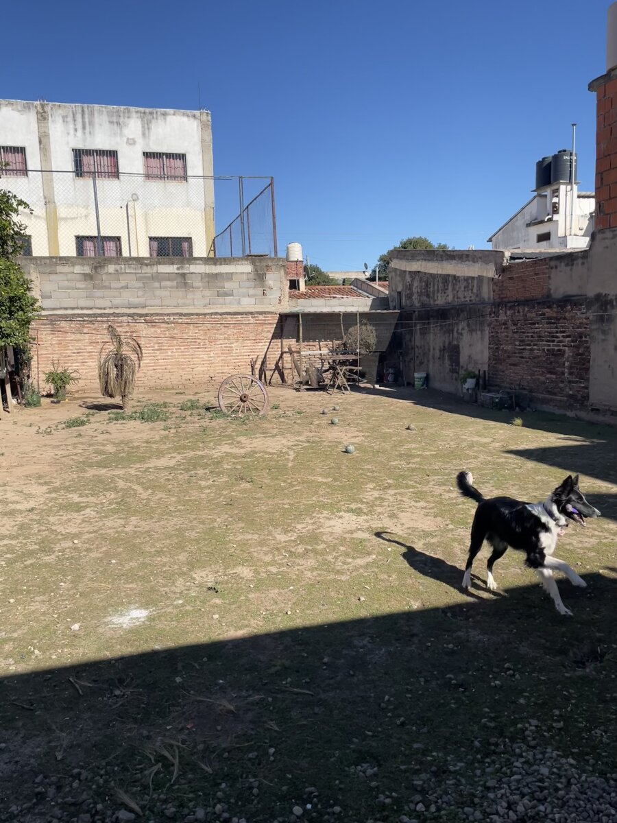 Venta Casa en Empalme, Patio Verde inmenso - Imagen 14
